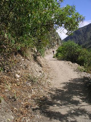 On The Trail