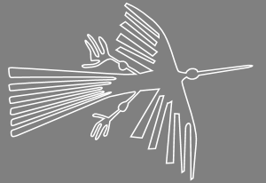 nasca_condor_vec