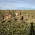 Sillustani Graveyard